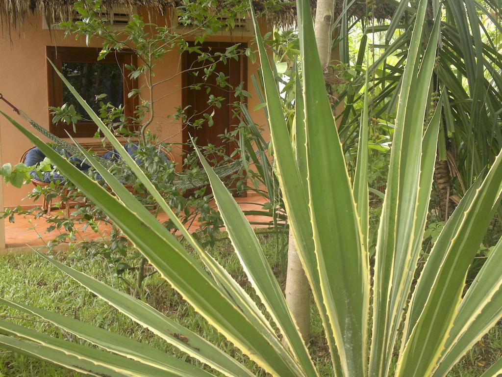 Botanica Hotel Kep Ngoại thất bức ảnh
