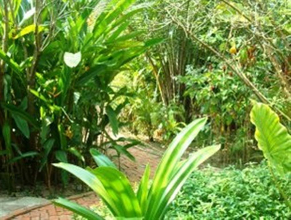 Botanica Hotel Kep Ngoại thất bức ảnh